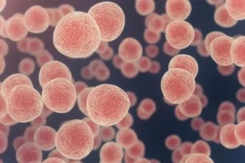 Des cellules cibles pour l'immunothérapie du cancer