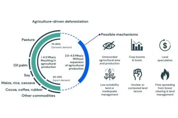 Démêler les chiffres de la déforestation tropicale due à l'agriculture