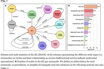 Une approche par graphe de connaissances pour prédire et interpréter les interactions entre les gènes responsables de maladies