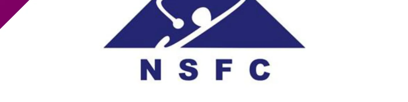 Results of the 2024 bilateral call for projects between the FNRS and the NSFC (China)