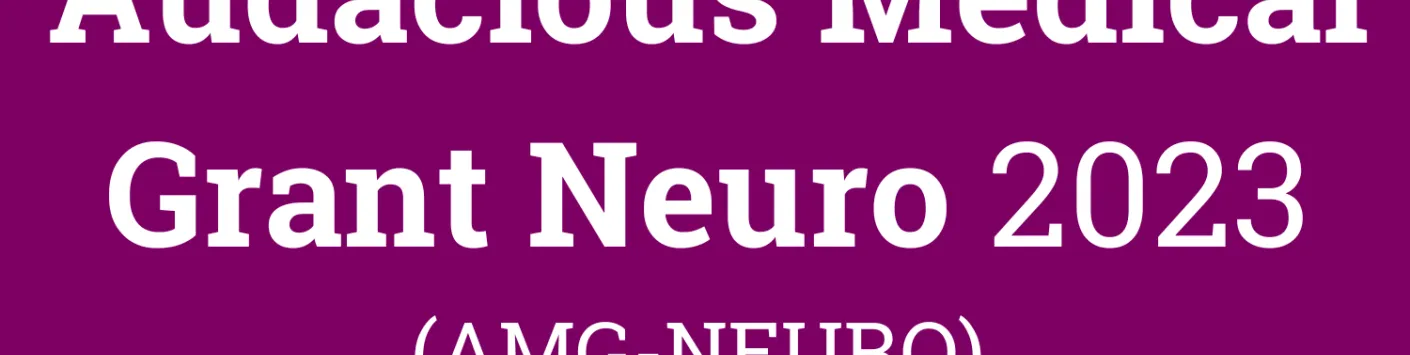 Results of the first call Audacious Medical Grant – Neuro