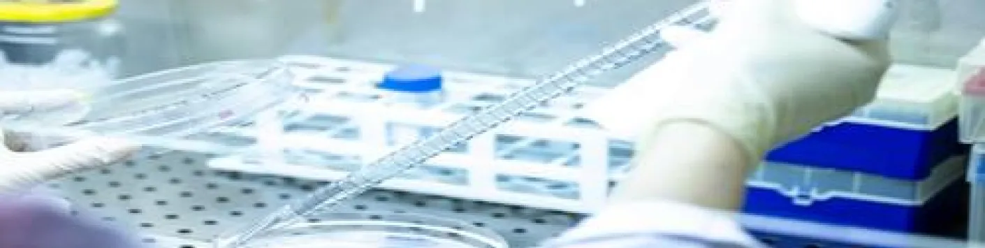 Une avancée majeure dans la compréhension, le diagnostic et le traitement des leucémies 