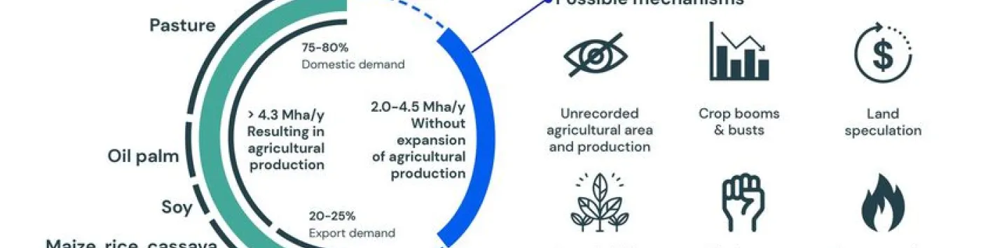Démêler les chiffres de la déforestation tropicale due à l'agriculture