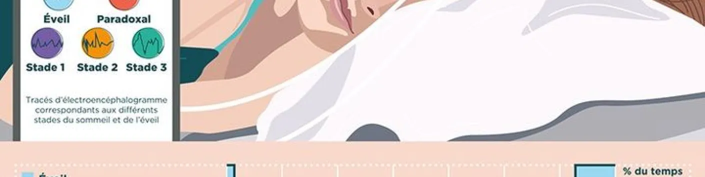 Apprendre une langue dans son sommeil : mythe ou réalité ?