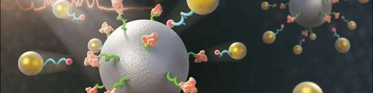Évolution de la taille des nanoparticules in situ résolue dans le temps lors de la pulvérisation magnétron sur des liquides