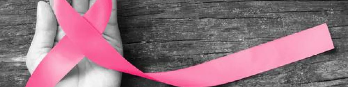 L'inhibition de la protéine mitochondriale OPA1 freine la croissance du cancer du sein